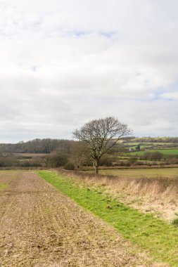 Wight Manzarası Adası