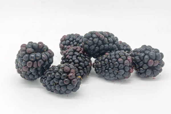 Blackberries White Background — Stock Photo, Image