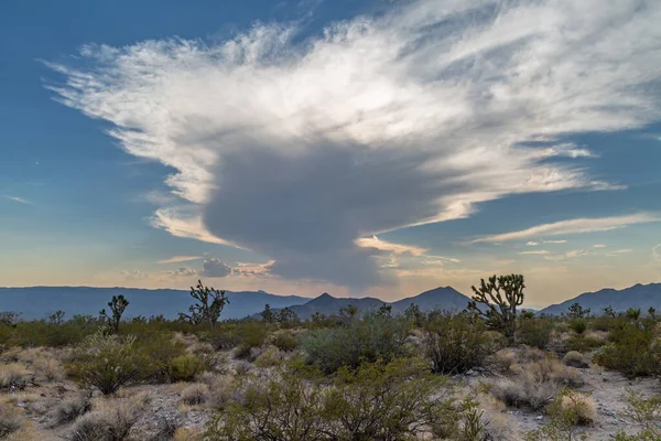 Paysage Désertique Avec Nuages Spectaculaires Lumière Soir — Photo