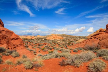 Ateş Vadisi, Nevada