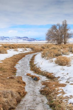 Bir Kış Nevada Manzarası