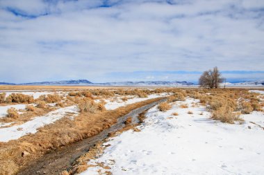Karlı Nevada manzarası