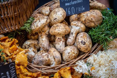 Bir sepet Matsutake Mantarı Pazarda Satılık