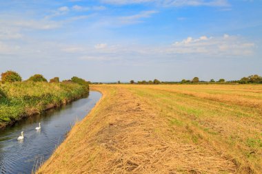 Kent 'te Romney Marsh