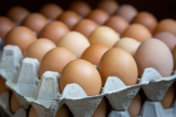 Eggs in an egg box, with a shallow depth of field