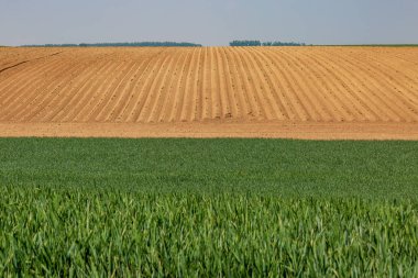 Fransa kırsalında bir arazi manzarası