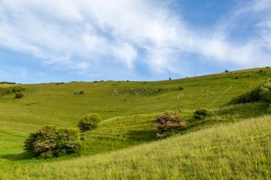 Sussex 'teki Windover Hill' deki Wilmington 'ın Uzun Adamı' nın figürüne bakıyorum.