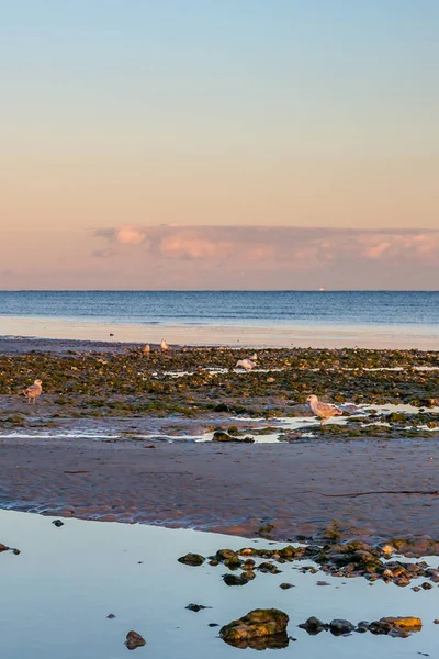 Marea Baja Atardecer Playa Worthing West Sussex — Foto de Stock