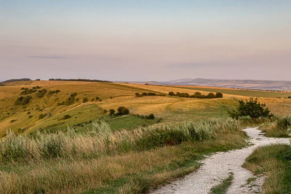 A chalk pathway along the South Downs Way in Sussex, at Ditchling Beacon