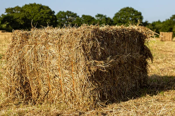 Hay Bale Sussex Countryside Harvesting — Stock Photo, Image