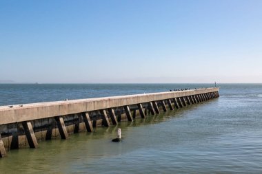 Kuşlar San Francisco 'nun rıhtımındaki Jetty' ye tünemiş, tepede mavi bir gökyüzü vardı.