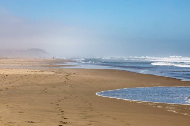 San Francisco 'daki uçsuz bucaksız kumlu sahil. Uzakta bir sis var.