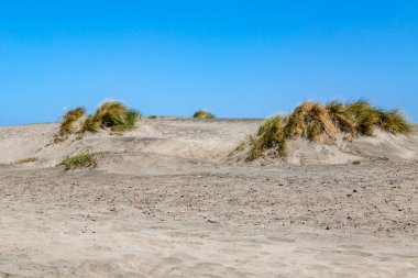 San Francisco 'daki Ocean Beach' te kum tepeleri.