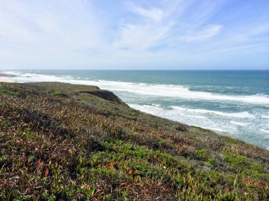 Kaliforniya kıyıları boyunca