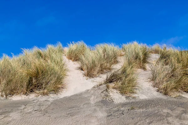 Zandduinen Een Blauwe Lucht Bij Ocean Beach San Francisco Californië — Stockfoto