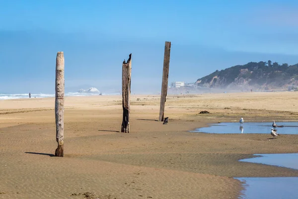 カリフォルニア沿岸に沿って サンフランシスコのオーシャンビーチに沿って眺め — ストック写真