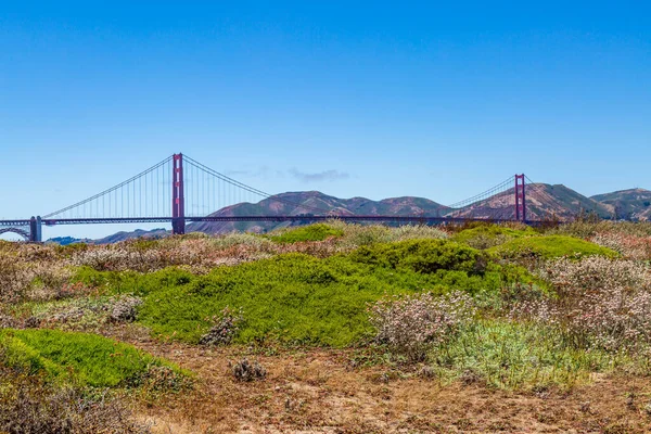 Most Golden Gate Oglądany Przez Pola Niebieskim Niebem Nad Głową — Zdjęcie stockowe