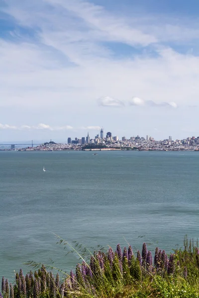 San Francisco Uitzicht Stad — Stockfoto