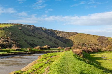 Güneşli bir kış gününde Sussex 'teki Cuckmere Nehri' ne bakıyorum.