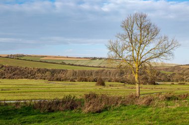 Güneşli bir kış gününde Güney Downs 'daki tarlalar boyunca bir manzara.