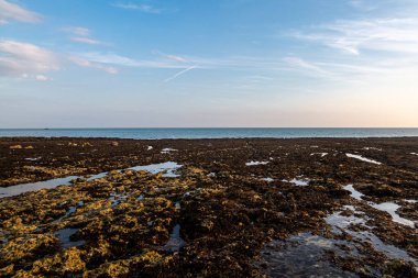 Sussex 'teki Seaford yakınlarındaki kayalara bakıyorum.