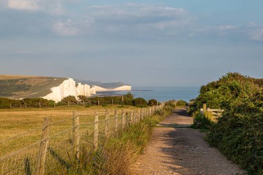 Kıyıya ve Seven Sisters Cliffs 'e giden yola bakıyorum.