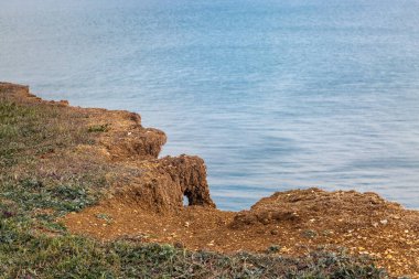Sussex kıyısında aşınan bir uçurum, aşağıdaki okyanus