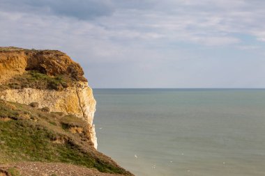 Sussex, Seaford 'daki tebeşir kayalıklarından denize bakıyorum.