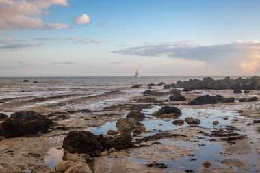 Sussex 'te, Eastbourne yakınlarında dalgaların çekildiği kayalık bir sahile bakıyorum.