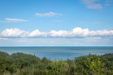 Güneşli bir bahar gününde Sussex, Eastbourne yakınlarındaki bir yamaçtan denize bakıyorum.