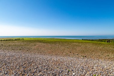 Cuckmere Haven yakınlarındaki çakıl taşı plajı, yaz boyunca sular çekildiğinde.
