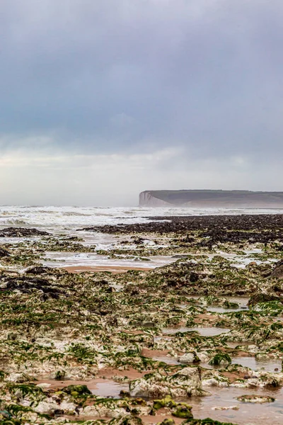 Marea Baja Costa Sussex Día Inviernos Ventosos — Foto de Stock