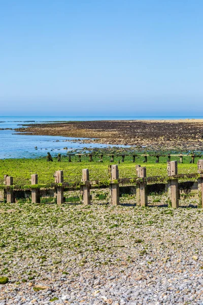 Groyne Legno Con Bassa Marea Sulla Costa Del Sussex Durante — Foto Stock