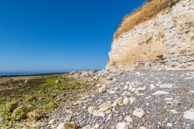 Güneşli bir yaz sabahında Sussex 'teki Hope Gap' teki kayalık sahil ve tebeşir kayalıkları.