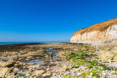 Yaz boyunca Sussex sahilinde kayalık bir sahil ve alçak gelgitler.