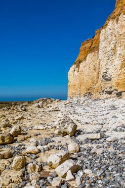 Kayalıklar ve Seaford yakınlarındaki Hope Gap 'teki kayalık plaj, Sussex sahili.