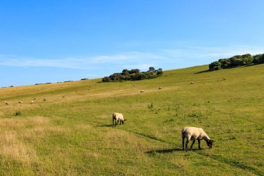 Güney Tepeleri Manzarası