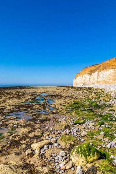 Cliffs Sussex Coast Sunny Summer Day — Stock Photo, Image