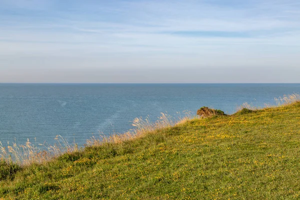 Widok Klifu Morza Wybrzeżu Sussex — Zdjęcie stockowe