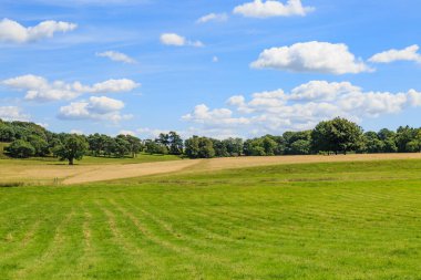 Sussex 'teki Yeşil Alanlar