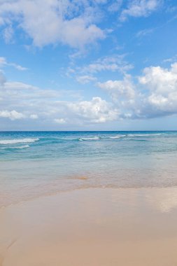 Karayipler 'in Barbados adasındaki cennet gibi bir sahilden denize bakıyorum.