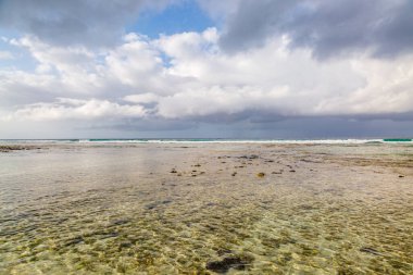 Dalgalar alçaldığında, Barbados adasındaki bir sahilde
