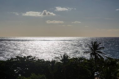 Akşamın erken saatlerinde Karayip Denizi 'ne bakarken ön planda siluetli bir palmiye ağacı vardı.