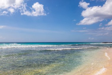 Barbados 'ta bir sahil ve deniz, üzerinde mavi bir gökyüzü var.