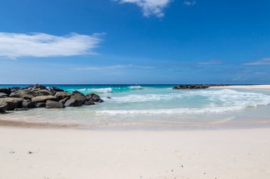 Barbados adasında beyaz kumlu bir sahil ve turkuaz bir okyanus.