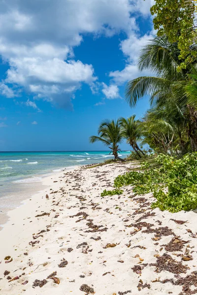 Olhando Longo Uma Praia Deserta Ilha Barbados — Fotografia de Stock