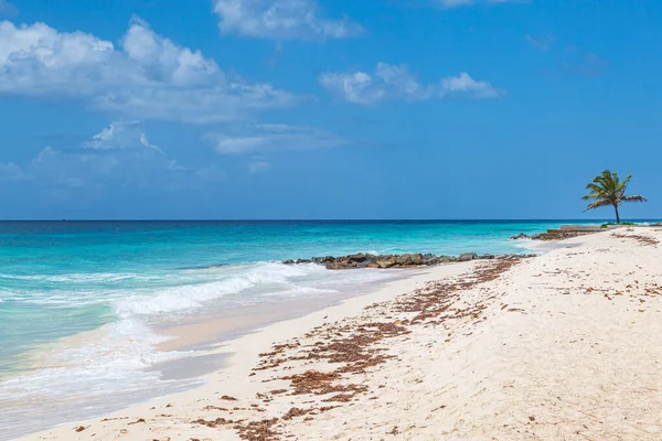 Con Vistas Una Playa Arena Isla Caribeña Barbados — Foto de Stock