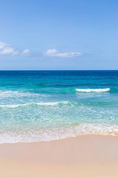 Olhando Para Mar Uma Praia Idílica Ilha Caribenha Barbados — Fotografia de Stock
