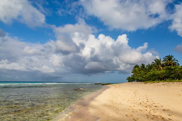 Uma Vista Praia Manhã Cedo Ilha Caribenha Barbados — Fotografia de Stock