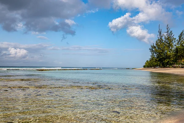 Mirando Hacia Océano Isla Caribeña Barbados Con Luz Mañana —  Fotos de Stock